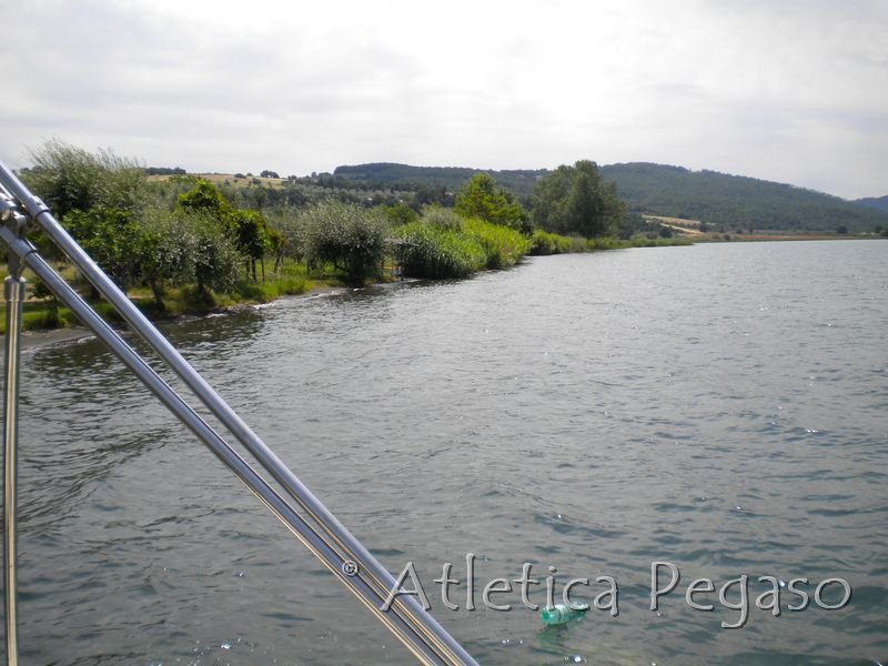 DSCN1093 [800x600].JPG